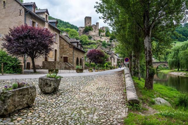 Апартаменты La Palatine Chambre Chez L Habitant A 20 Mn De Rodez Calmont  Экстерьер фото